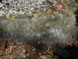 image of grave number 305376